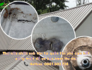 Thợ sữa chữa chống dột mái tôn tại quận Tân Phú - 0867.502.728